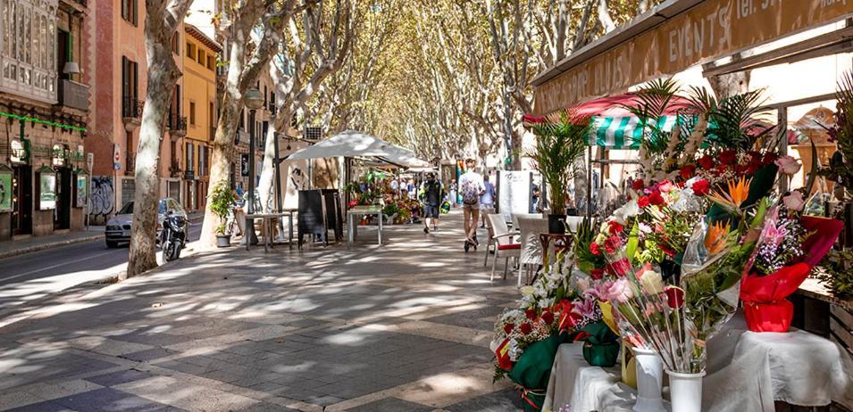 Pensionat Rambla Center Palma de Mallorca